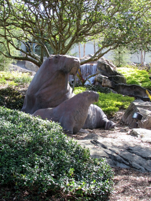 We didn't go into any of the shows but besides enjoying the landscaping we also got to see sculptures, like these sea lions. 